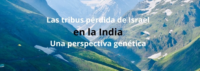 Las Tribus P Rdida De Israel En La India Una Perspectiva Gen Tica