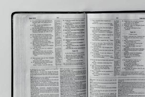 image 5 image