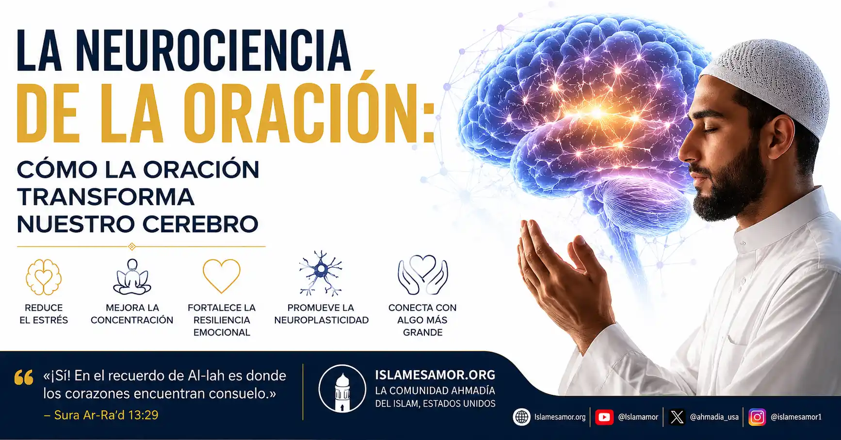 neurociencia oracion cerebro La neurociencia de la oración y su efecto en el cerebro según el islam